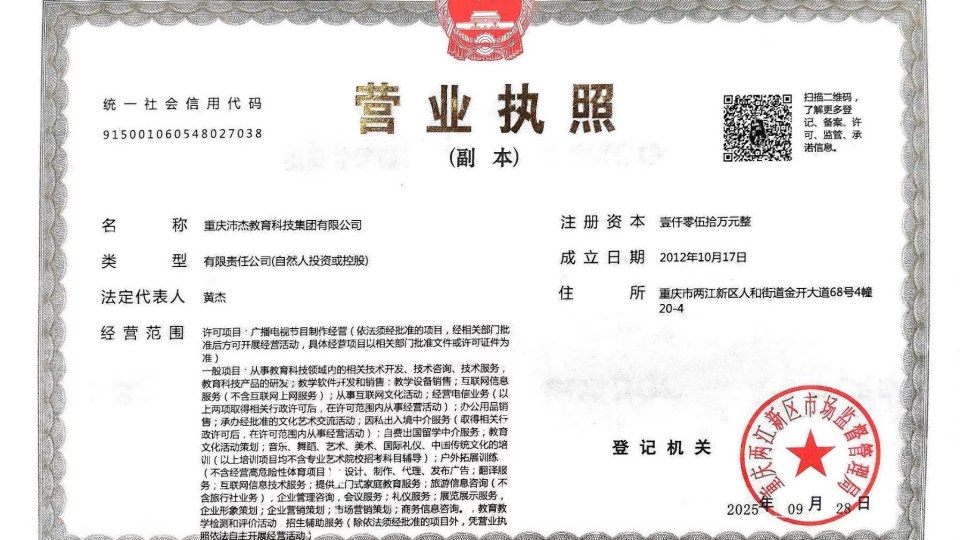 沛杰集团营业执照