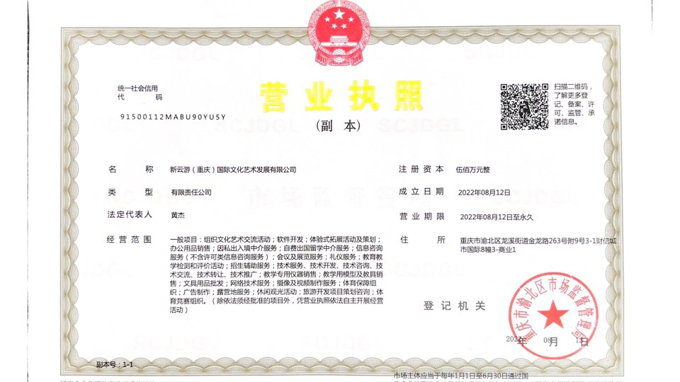 新云游营业执照