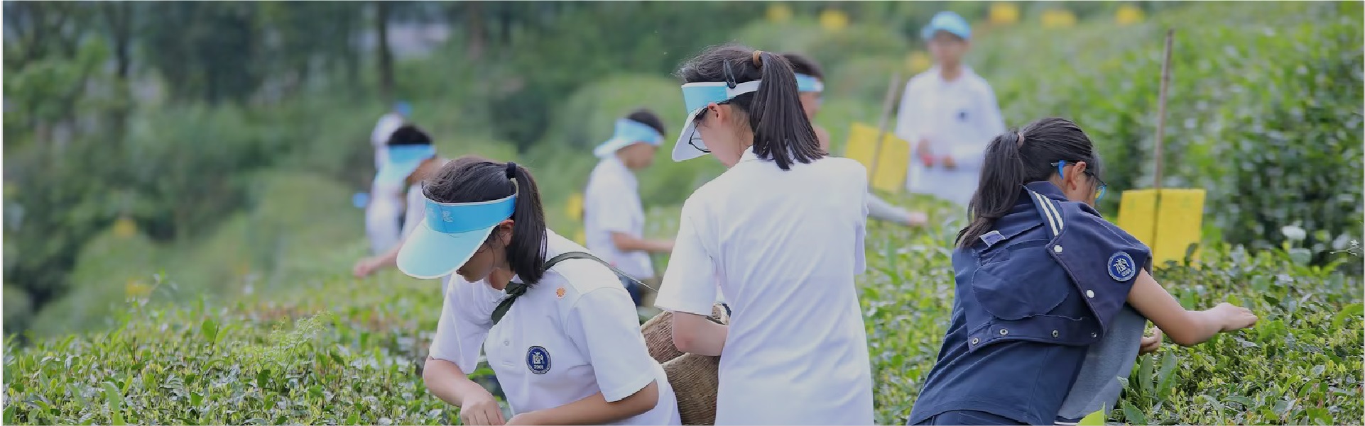 游而思新研学